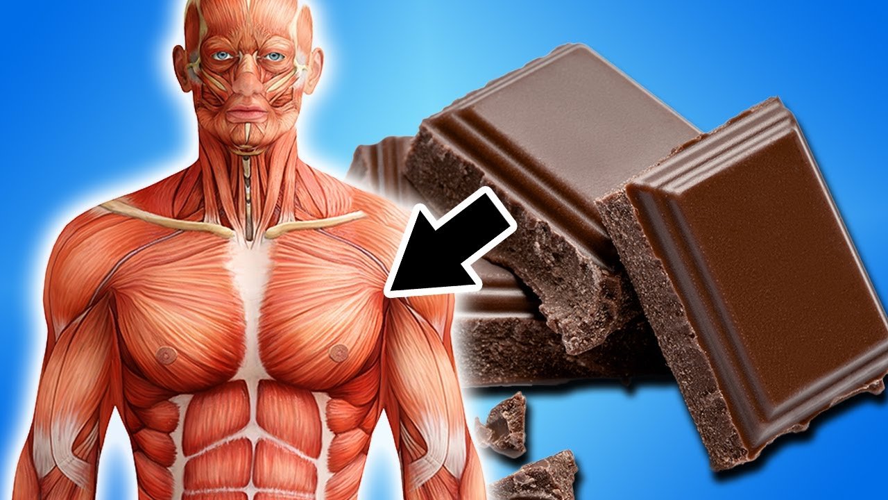 What Happens to Your Body When You Eat Chocolate Regularly